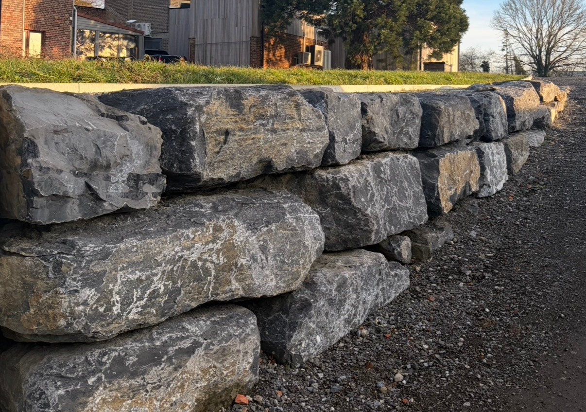 Design sans titre (72)